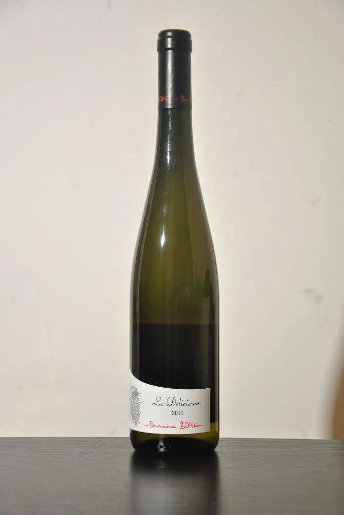 Riesling Chapelle Oberhagel Bio 